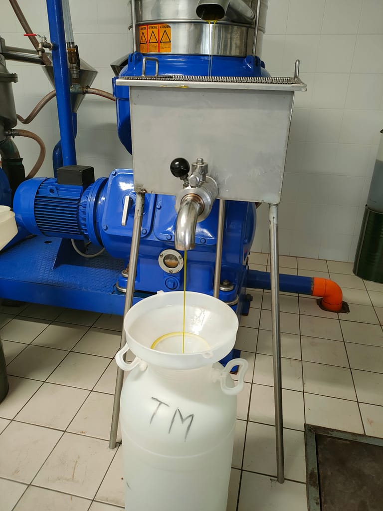 olio extra vergine di oliva